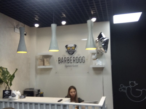 Оформление точки для зоосалона "BARBERDOG" 6